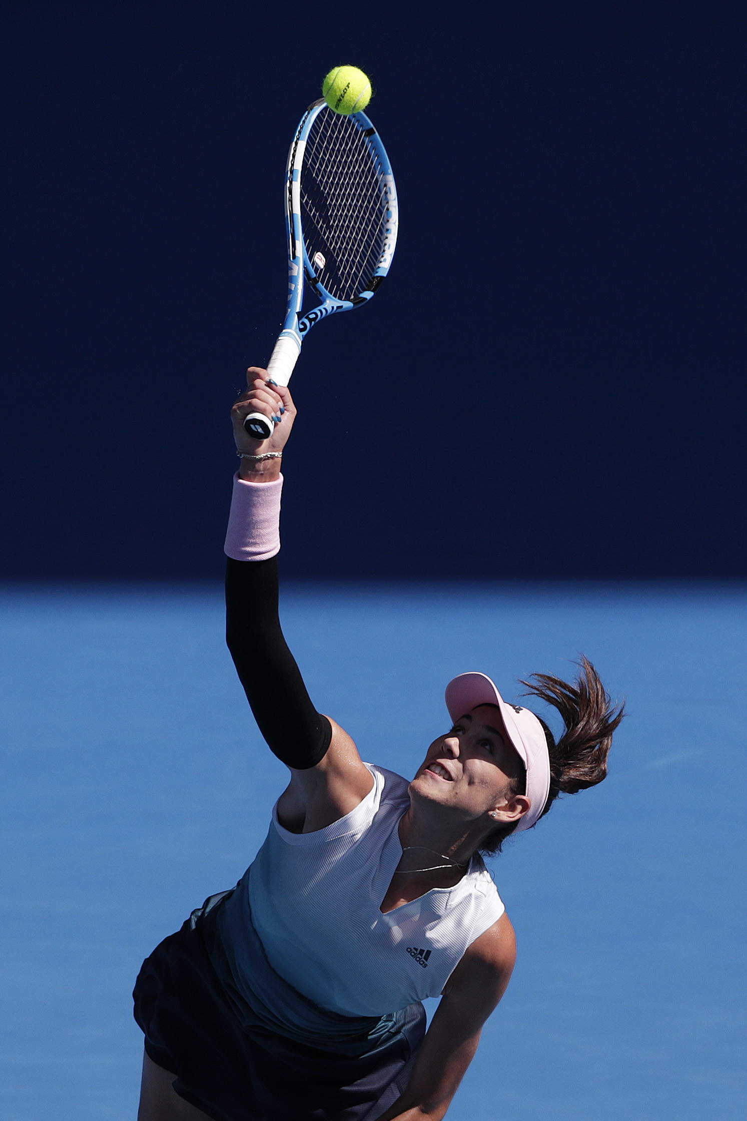 社群生态 社群生态