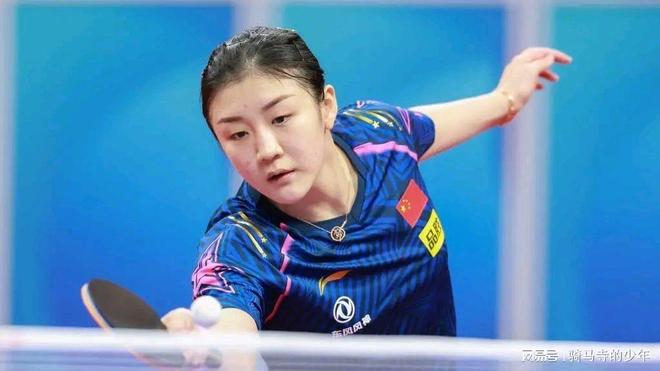 理解它的心 理解它的心