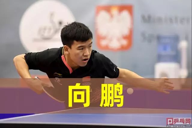 炫技式读牌 炫技式读牌